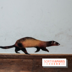 Incursions sauvages, nos photos