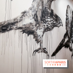 Incursions sauvages, nos photos