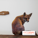 Incursions sauvages, nos photos