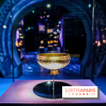 Expo Machu Picchu et les Trésors du Pérou, nos photos