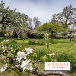 Le Château de Saint-Jean de Beauregard et son Jardin remarquable