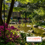 Les jardins du Musée Albert Kahn, nos photos 