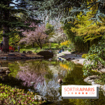 Les jardins du Musée Albert Kahn, nos photos