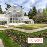 Les jardins du Musée Albert Kahn, nos photos