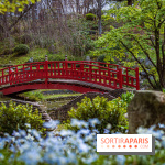 Les jardins du Musée Albert Kahn, nos photos