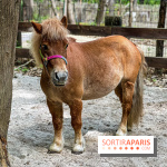 Aventure Floreval, l'accrobranche canon aux portes de Paris