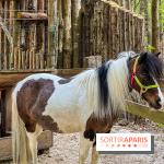 Aventure Floreval, l'accrobranche canon aux portes de Paris