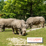 Zoo de Beauval 