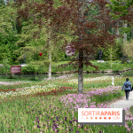 Photos : Château de Cheverny