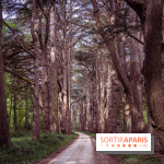 Photos : Château de Cheverny