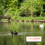 Photos : Château de Cheverny