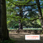 Le Château de Breteuil, ses jardins remarquables et contes de Perrault 