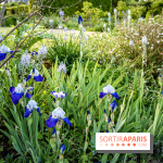 Le Château de Breteuil, ses jardins remarquables et contes de Perrault 