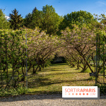 Le Château de Breteuil, ses jardins remarquables et contes de Perrault 