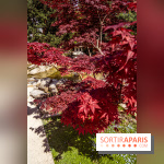 Le Jardin Japonais d'Ichikawa à Issy-les-Moulineaux