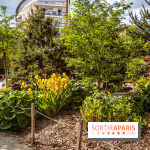 Le Jardin Japonais d'Ichikawa à Issy-les-Moulineaux