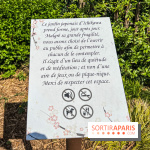 Le Jardin Japonais d'Ichikawa à Issy-les-Moulineaux