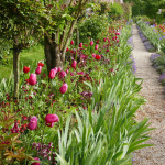 Maison et Jardins Claude Monet à Giverny