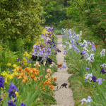 Maison et Jardins Claude Monet à Giverny