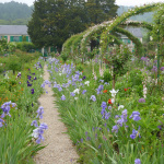 Maison et Jardins Claude Monet à Giverny