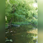 Maison et Jardins Claude Monet à Giverny