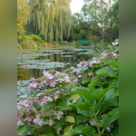 Maison et Jardins Claude Monet à Giverny