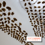 Exposition De l’Art de vivre au Centre Culturel Canadien, nos photos