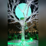 Illumination du Forum des Halles par Samuel Le Bihan