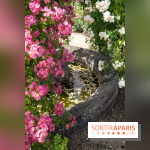 Photos : La Roseraie du val-de-Marne