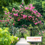 Photos : La Roseraie du val-de-Marne