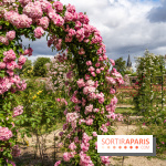 Photos : La Roseraie du val-de-Marne