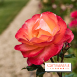 Photos : La Roseraie du val-de-Marne