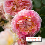 Photos : La Roseraie du val-de-Marne