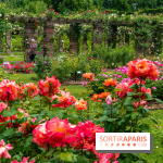 La Roseraie du Parc Lebaudy sur l'Ile de Puteaux