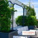 Le bar à tacos du Séquoia, le rooftop du Kimpton Saint-honoré