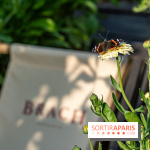 La terrasse en Rooftop du Brach, le bar perché dans un jardin potager -  A7C7692