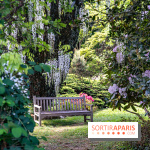 Arboretum de la Vallée-aux-Loups, une balade au milieu des arbres remarquables - A7C07813