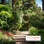 Arboretum de la Vallée-aux-Loups, une balade au milieu des arbres remarquables - A7C07832