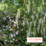 Arboretum de la Vallée-aux-Loups, une balade au milieu des arbres remarquables