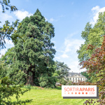 Arboretum de la Vallée-aux-Loups, une balade au milieu des arbres remarquables