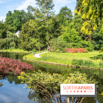 Arboretum de la Vallée-aux-Loups, une balade au milieu des arbres remarquables