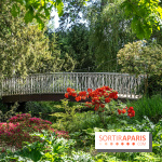 Arboretum de la Vallée-aux-Loups, une balade au milieu des arbres remarquables - A7C07779