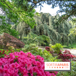Arboretum de la Vallée-aux-Loups, une balade au milieu des arbres remarquables - A7C07777