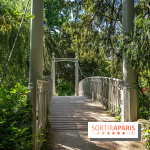 Arboretum de la Vallée-aux-Loups, une balade au milieu des arbres remarquables - A7C07766