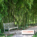 Arboretum de la Vallée-aux-Loups, une balade au milieu des arbres remarquables - A7C07758