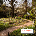 Arboretum de la Vallée-aux-Loups, une balade au milieu des arbres remarquables - A7C09392