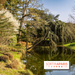 Arboretum de la Vallée-aux-Loups, une balade au milieu des arbres remarquables - A7C09394