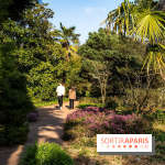 Arboretum de la Vallée-aux-Loups, une balade au milieu des arbres remarquables - A7C09397