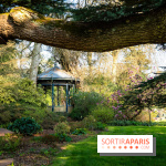 Arboretum de la Vallée-aux-Loups, une balade au milieu des arbres remarquables - A7C09402