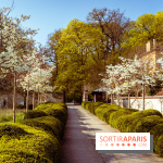 Arboretum de la Vallée-aux-Loups, une balade au milieu des arbres remarquables - A7C09411